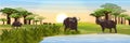 A herd of African black buffalo at the watering hole. Grass, a small lake, a baobab grove on the horizon. Realistic vector landsca